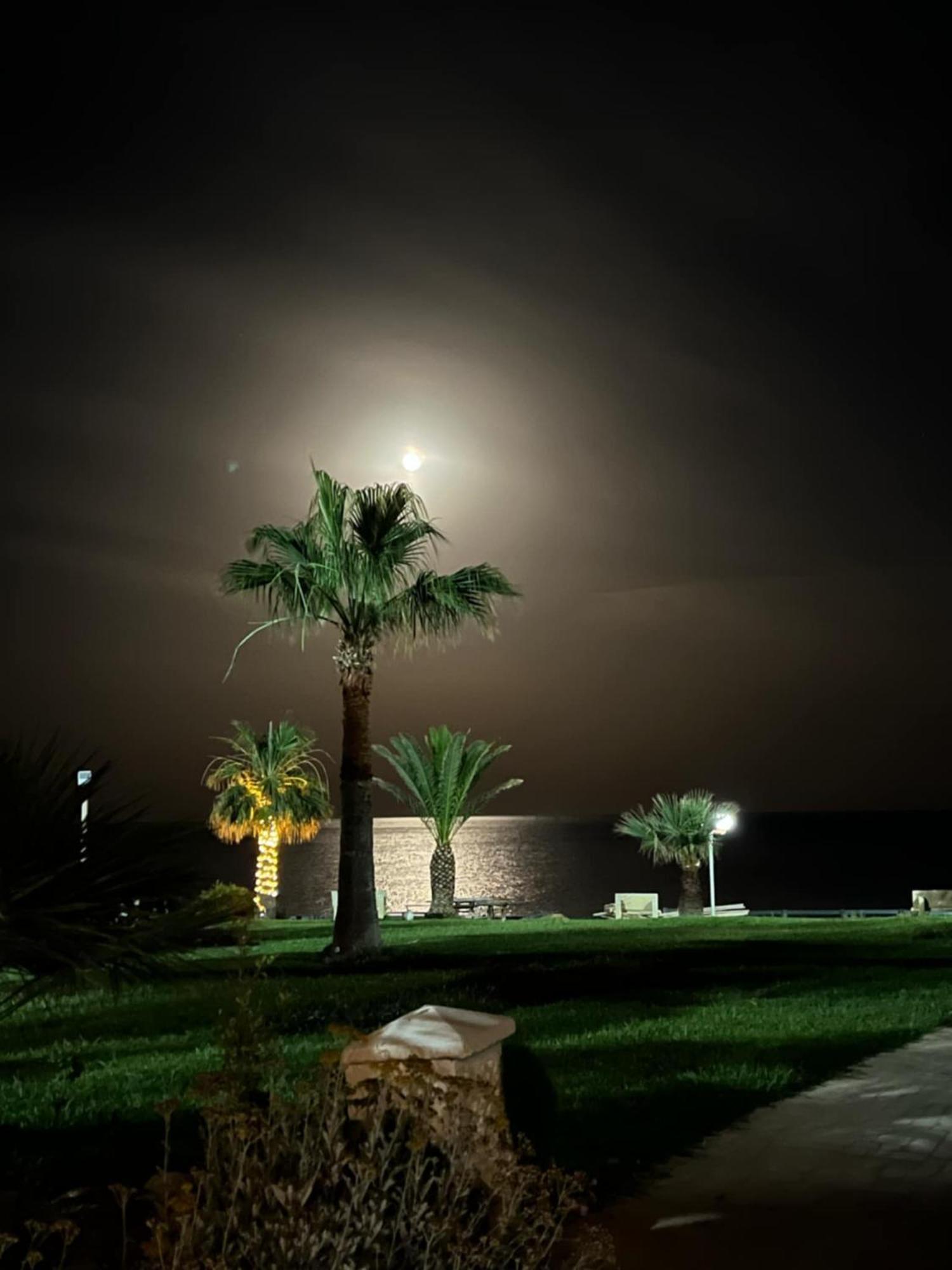 Appartement Pied Dans L'Eau Hammamet Exterior foto