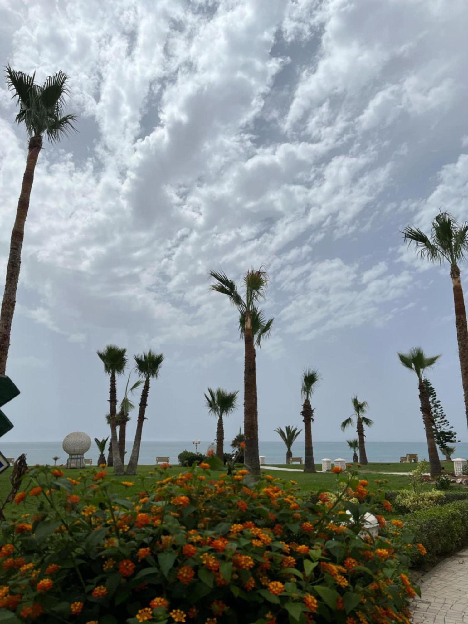 Appartement Pied Dans L'Eau Hammamet Exterior foto